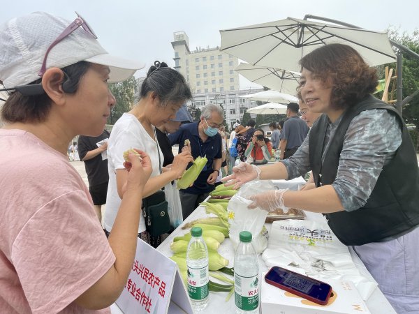 京郊“怪味”玉米集体亮相，背后有个致富故事