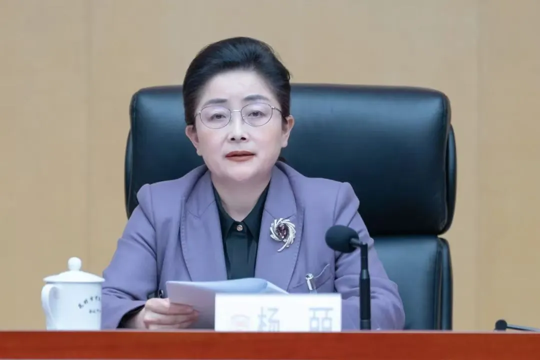 正厅级杨皕，主动投案