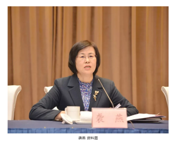 袭燕，主动投案