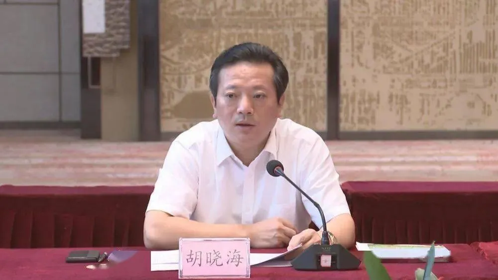 南昌市常务副市长胡晓海,主动派遣问题